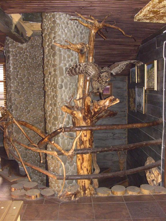 Chalet Truten Vorokhta Luaran gambar